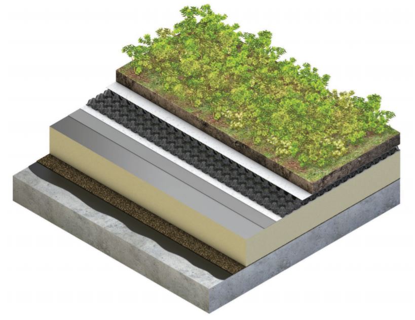 This is an image of Extensive Green Roof