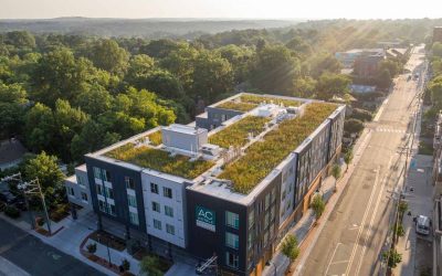 Your Guide to Green Roofs: Green Roofs FAQ